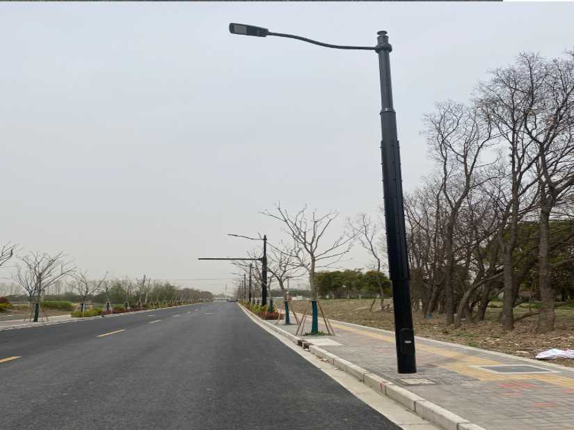 黑河市上海综合杆 太阳能路灯工程